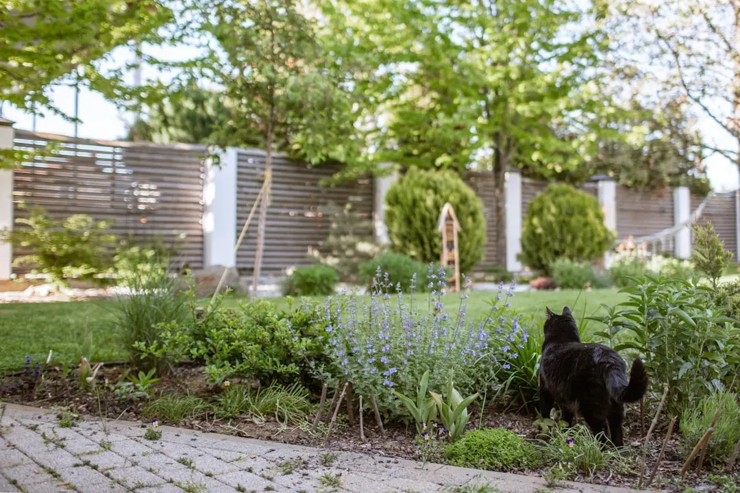 Choosing plants that hold their appeal (Image Credits: Unsplash)