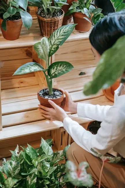 Aesthetic flexibility without major renovation (Image Credits: Pexels)
