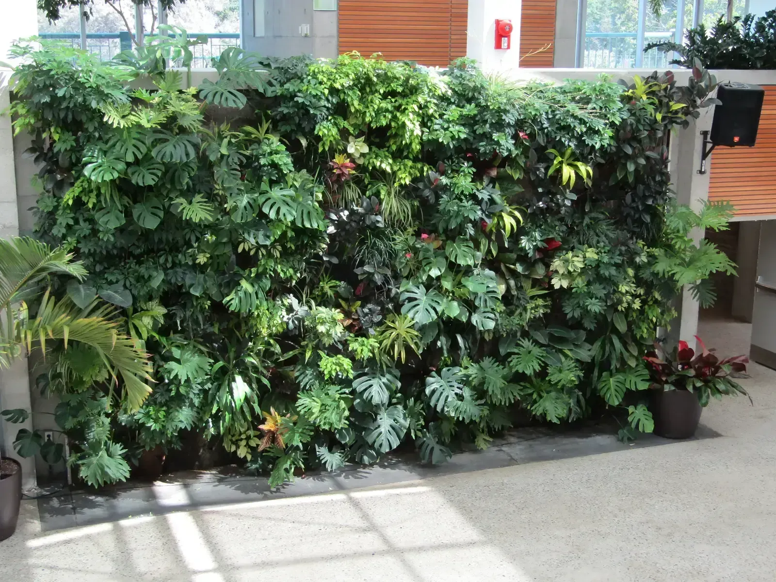 Living walls and vertical gardens indoors (An indoor living wall, CC BY-SA 2.0)
