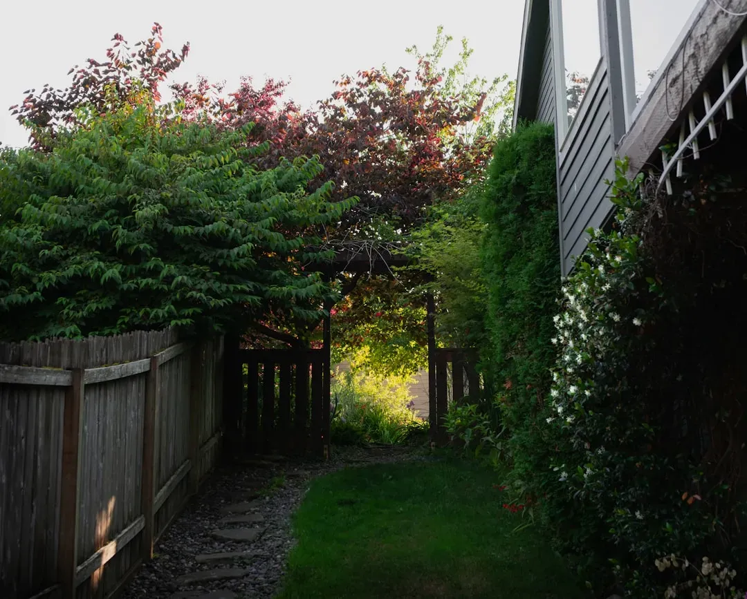 Why quiet outdoor spaces matter more now (Image Credits: Unsplash)