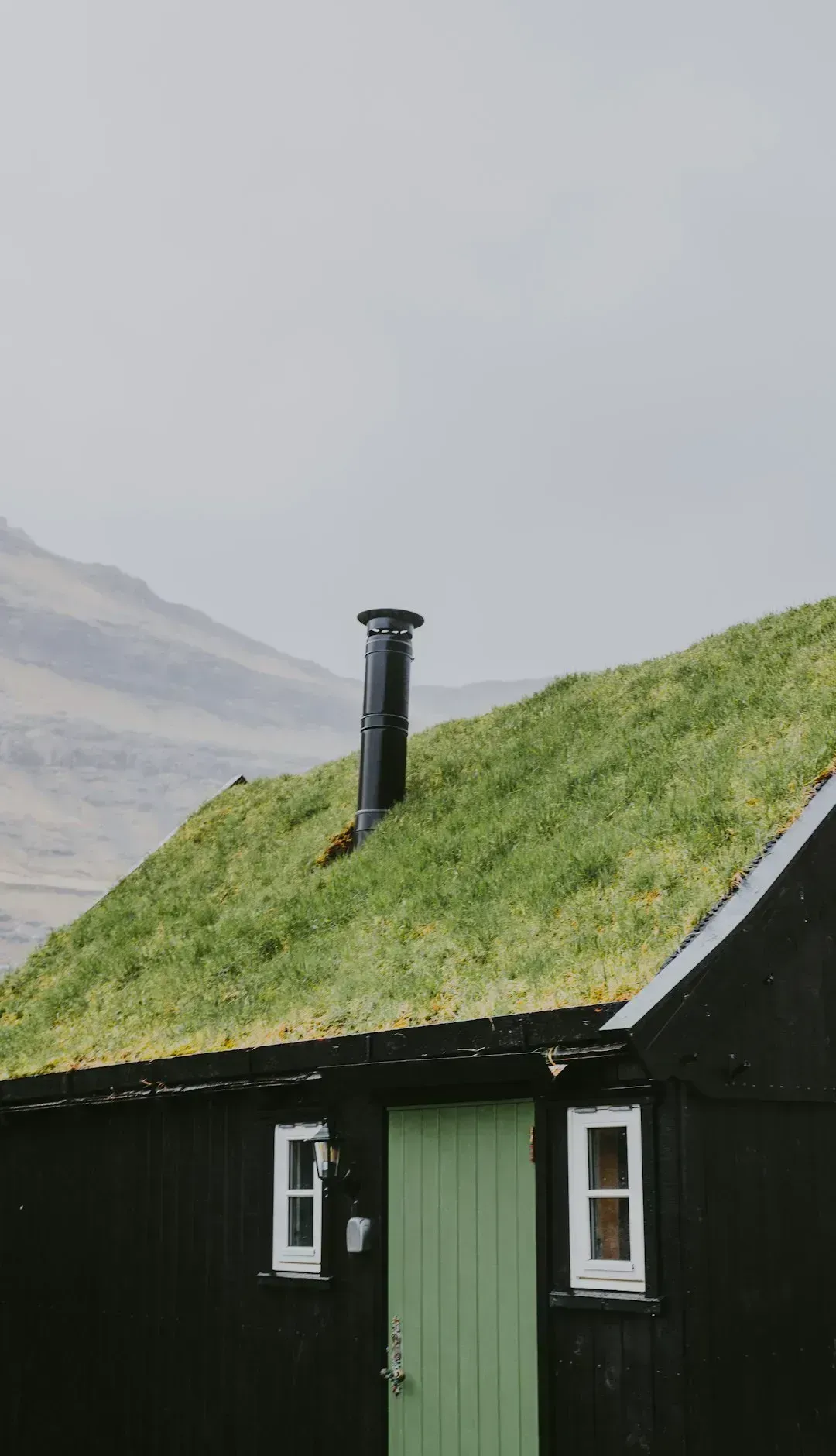 Homes with living green roofs (Image Credits: Unsplash)