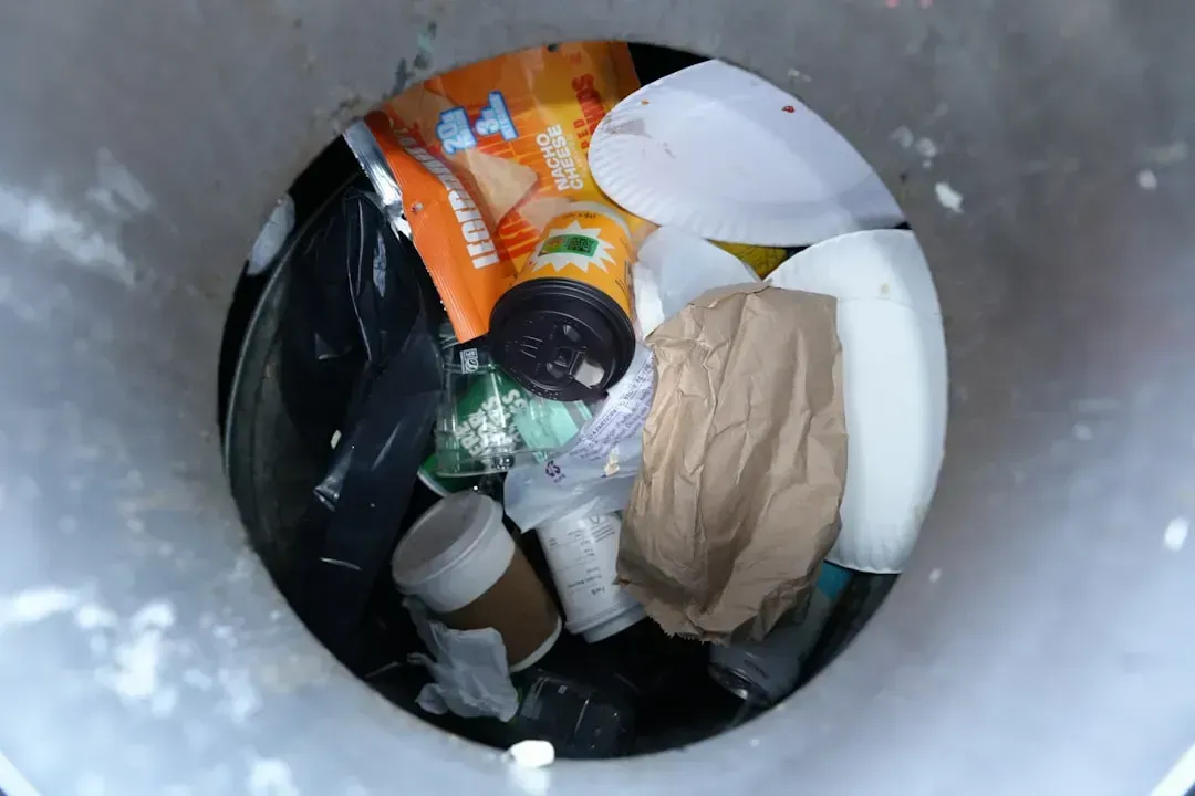 5. Misusing the Garbage Disposal (Image Credits: Unsplash)