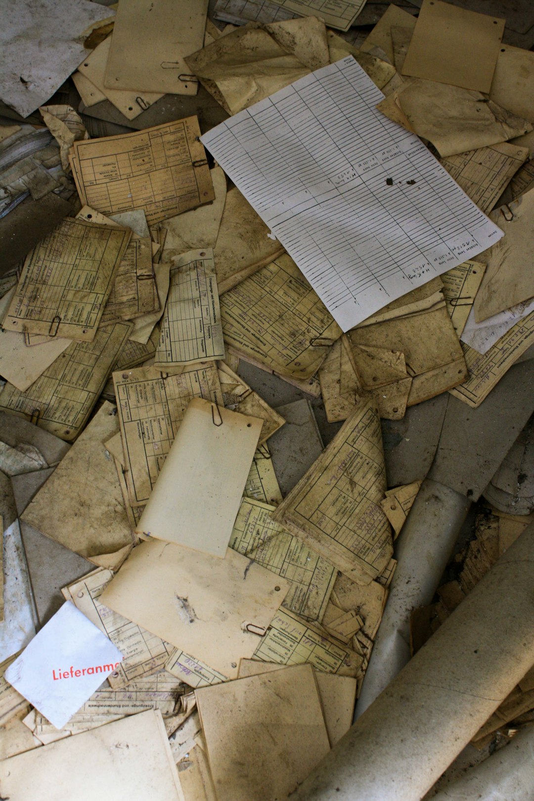 Important Documents Face Multiple Threats (image credits: Gallery Image)