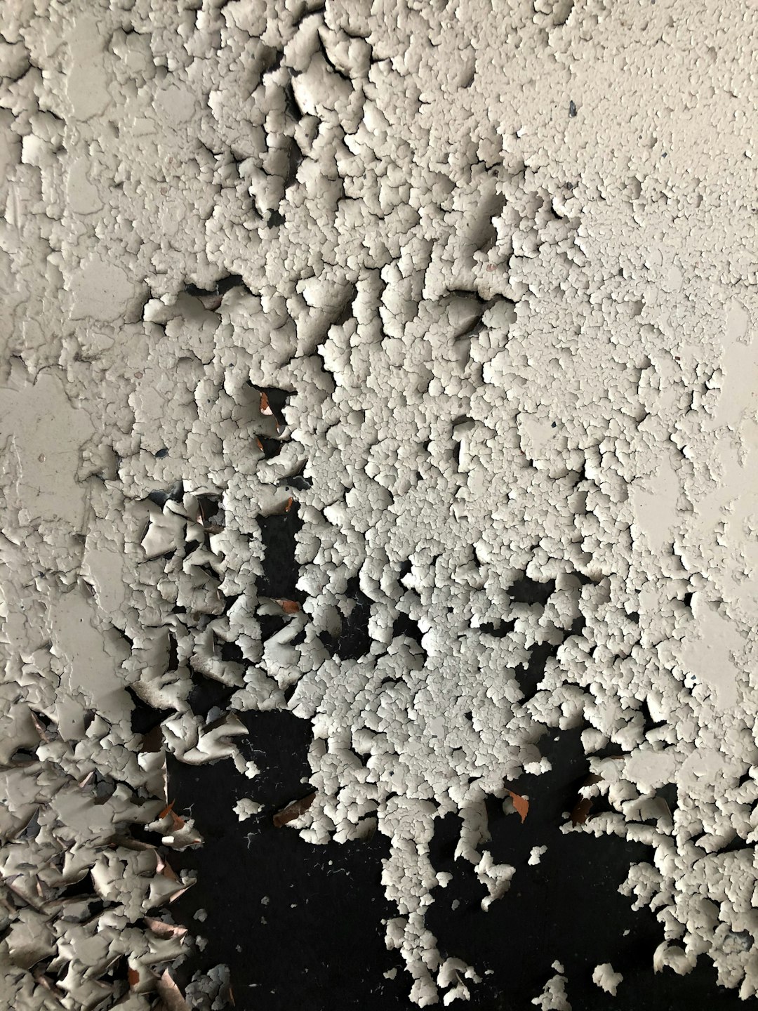Mold Growth Doesn't Just Look Bad – It Actively Attacks Your Health (image credits: unsplash)