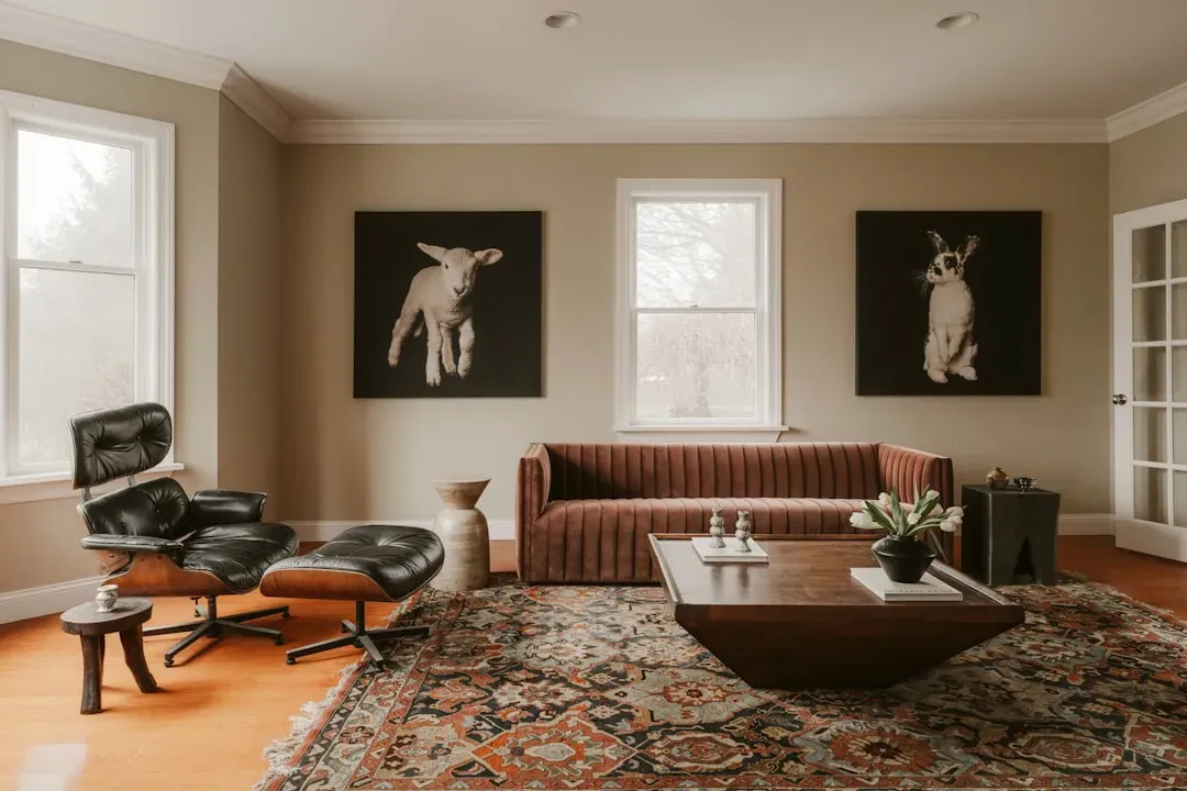 Paint one accent wall (Image Credits: Unsplash)