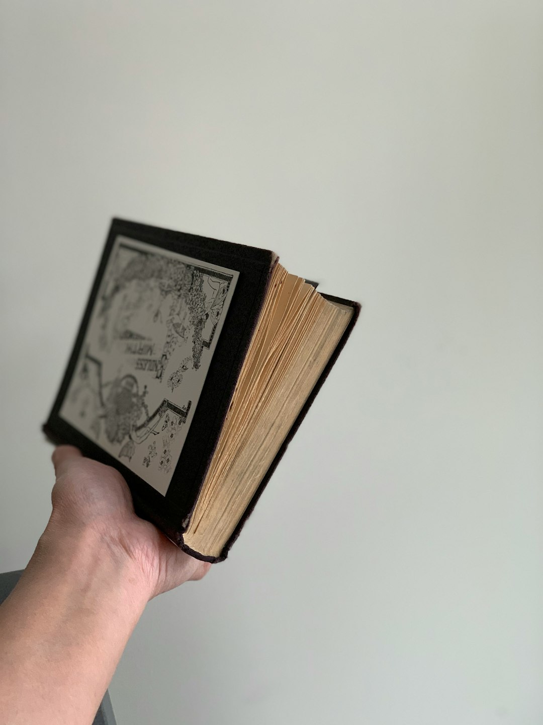 Hollowed-Out Books – Literary Treasure Chests (image credits: unsplash)
