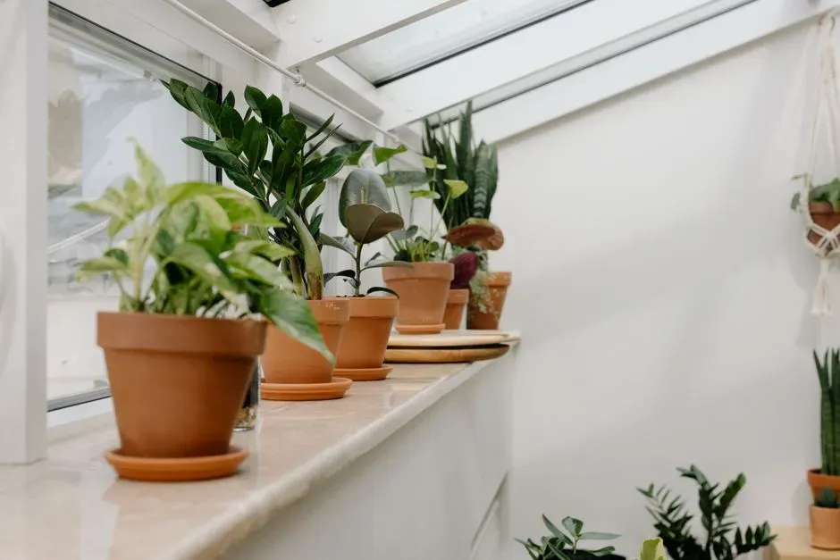 Bring in houseplants for a natural boost (Image Credits: Pexels)