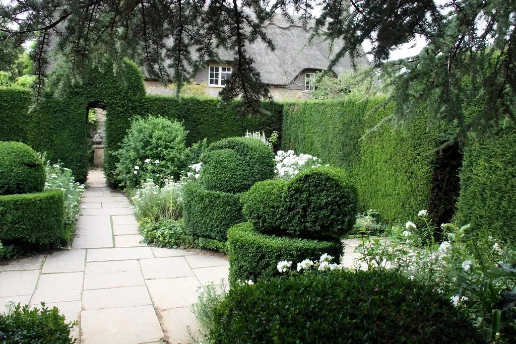 The role of hedges and borders (Dave Catchpole, Flickr, CC BY 2.0)