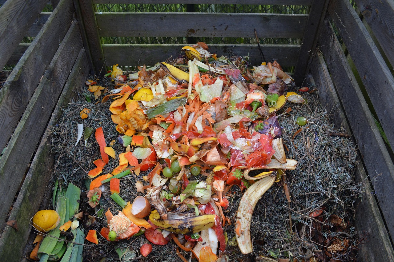What Never Goes in Your Compost Bin (image credits: pixabay)