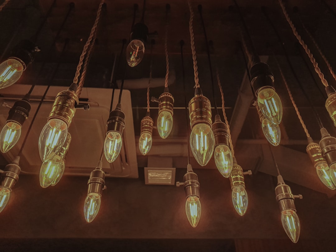 Lavish Light Fixtures and Statement Pieces (image credits: unsplash)