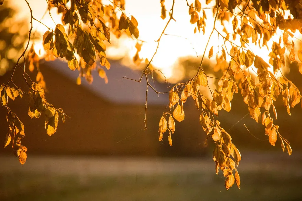 Golden hour: why photographers chase the sun (Infomastern, Flickr, CC BY-SA 2.0)