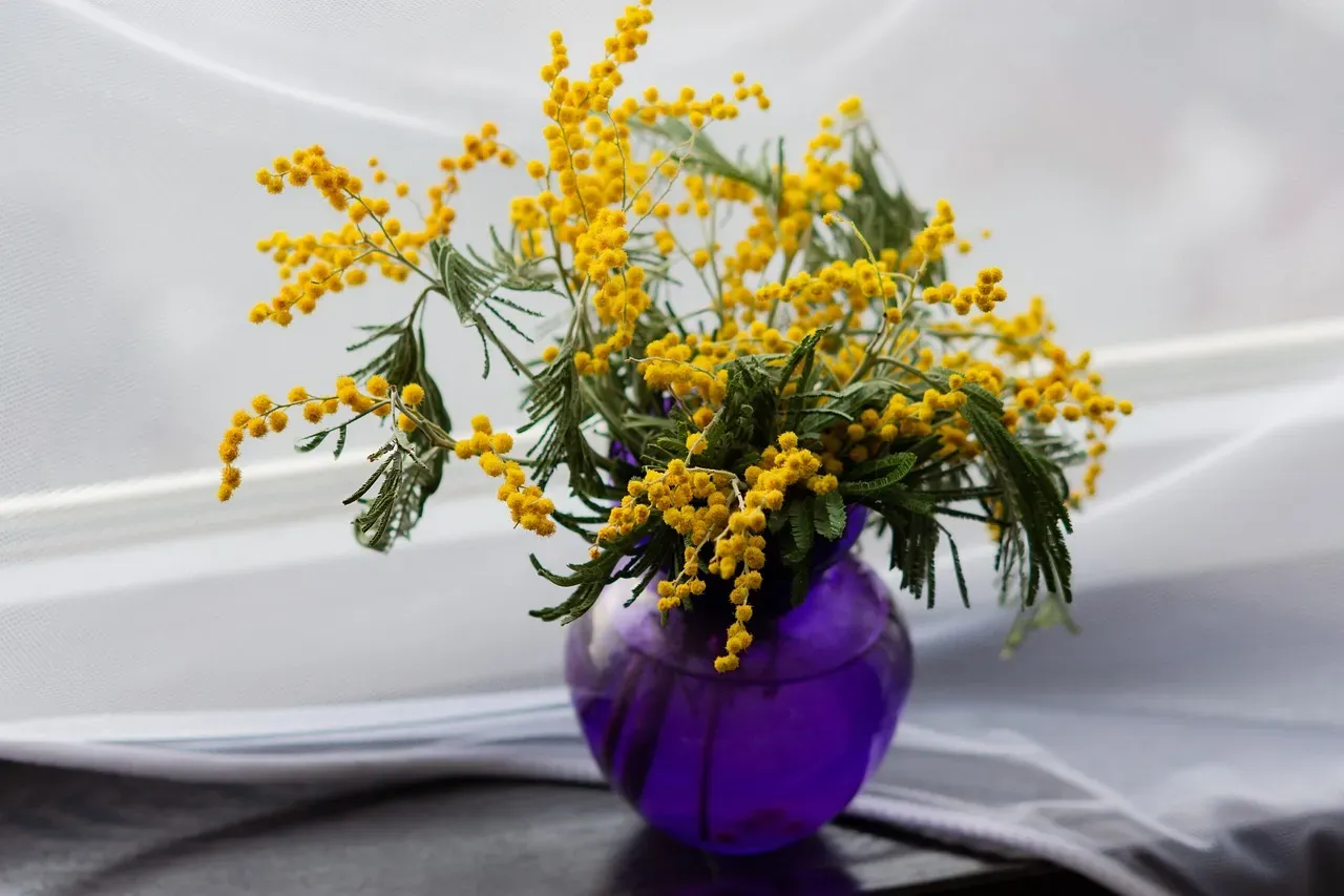Add greenery or fresh florals (Image Credits: Pixabay)