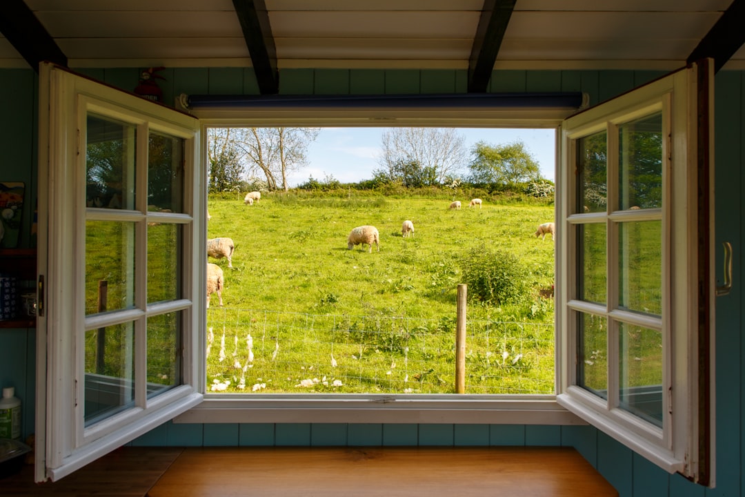 Simple Solutions for Cleaner Indoor Air (image credits: unsplash)