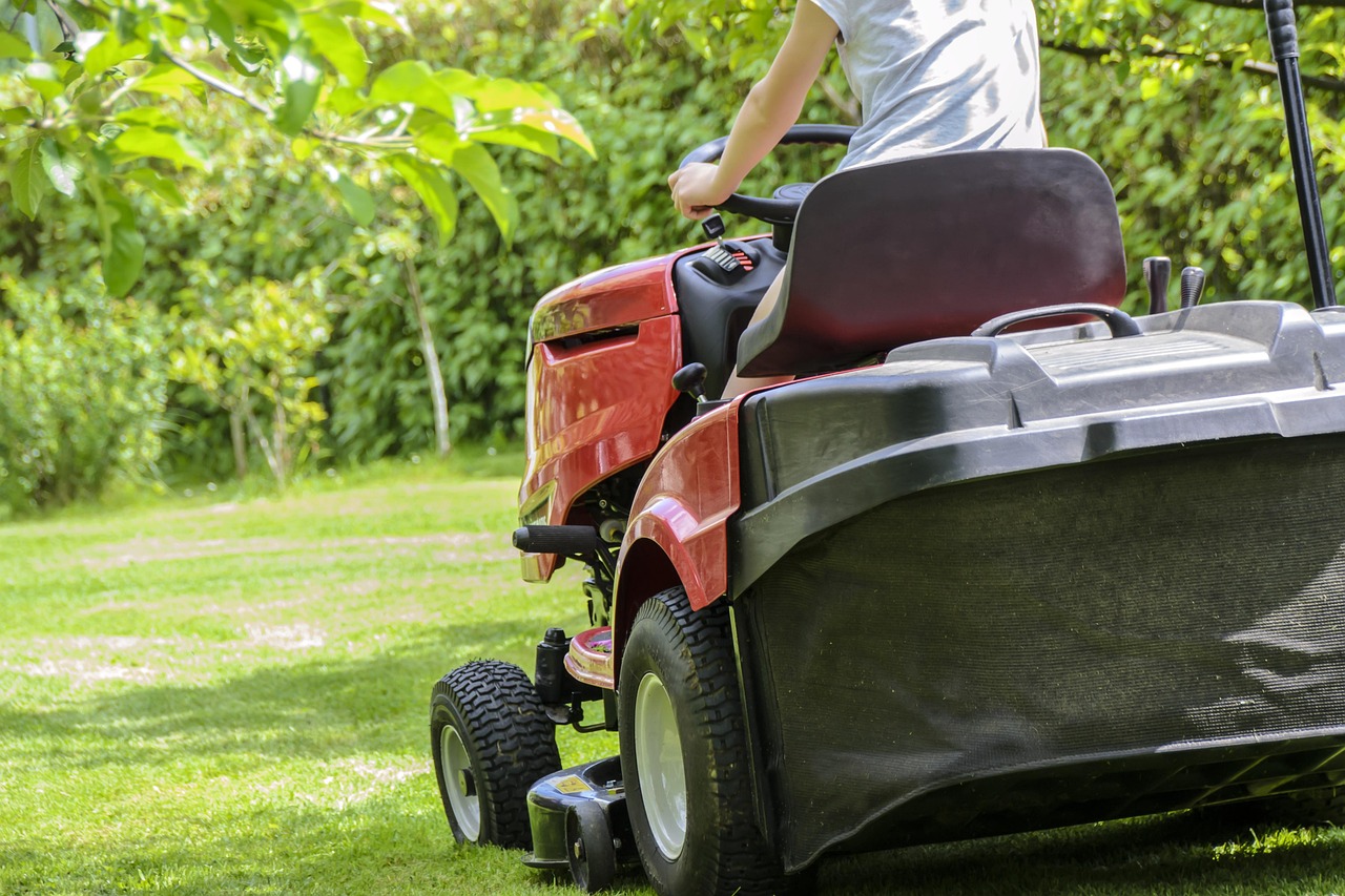 Waiting Too Long Between Mowing Sessions (image credits: pixabay)