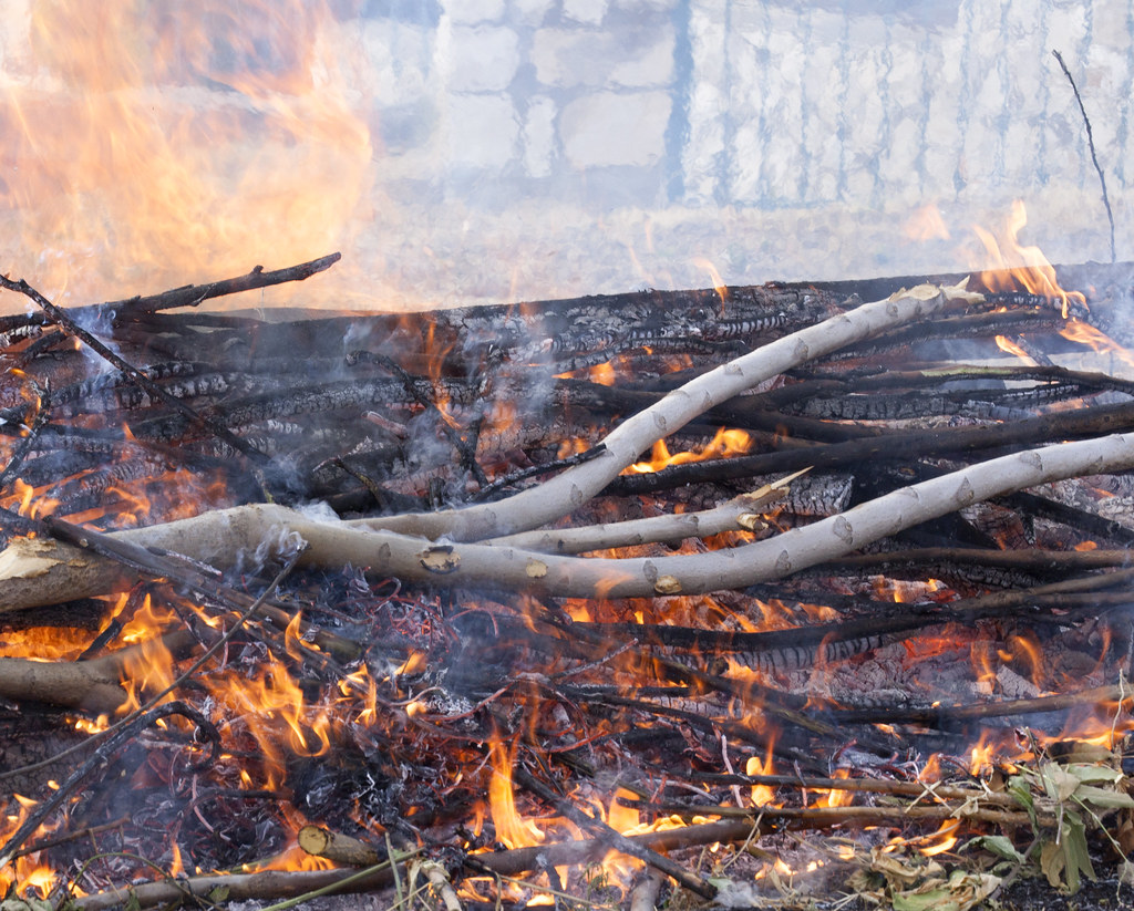 Transporting Yard Waste to Unauthorized Locations (Image Credits: Flickr)