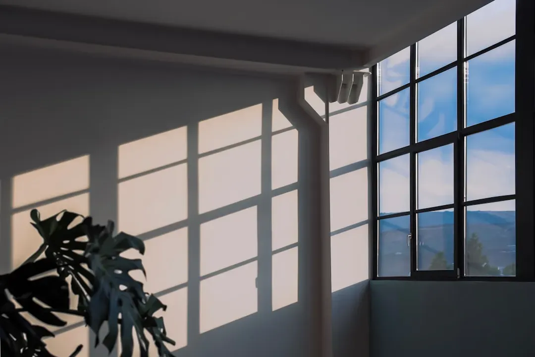 Light as a design tool (Image Credits: Unsplash)