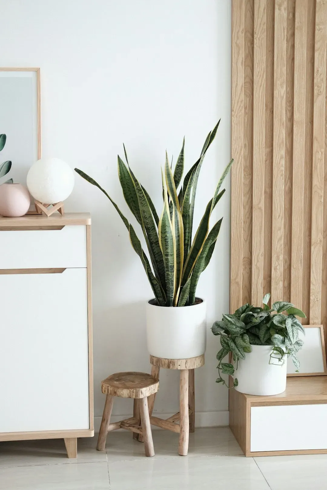 Bringing the outdoors in (Image Credits: Unsplash)