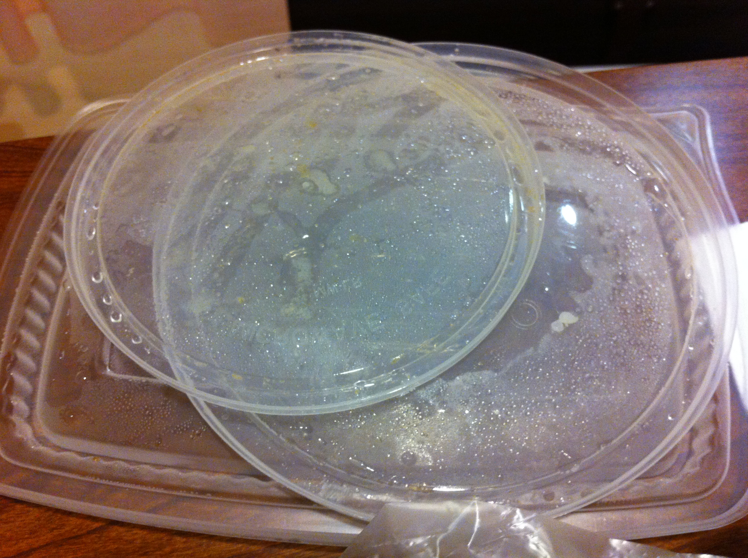 Plastic Containers Without Matching Lids (image credits: By Leechieglawou, CC BY-SA 3.0, https://commons.wikimedia.org/w/index.php?curid=29717702)