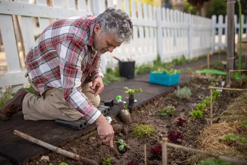 Choose easy, forgiving plants for the first season (Image Credits: Pexels)