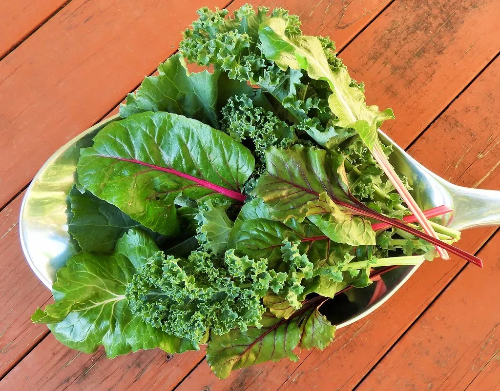4. Leafy Greens: The Calcium-Rich Thermoregulators (Image Credits: Flickr)