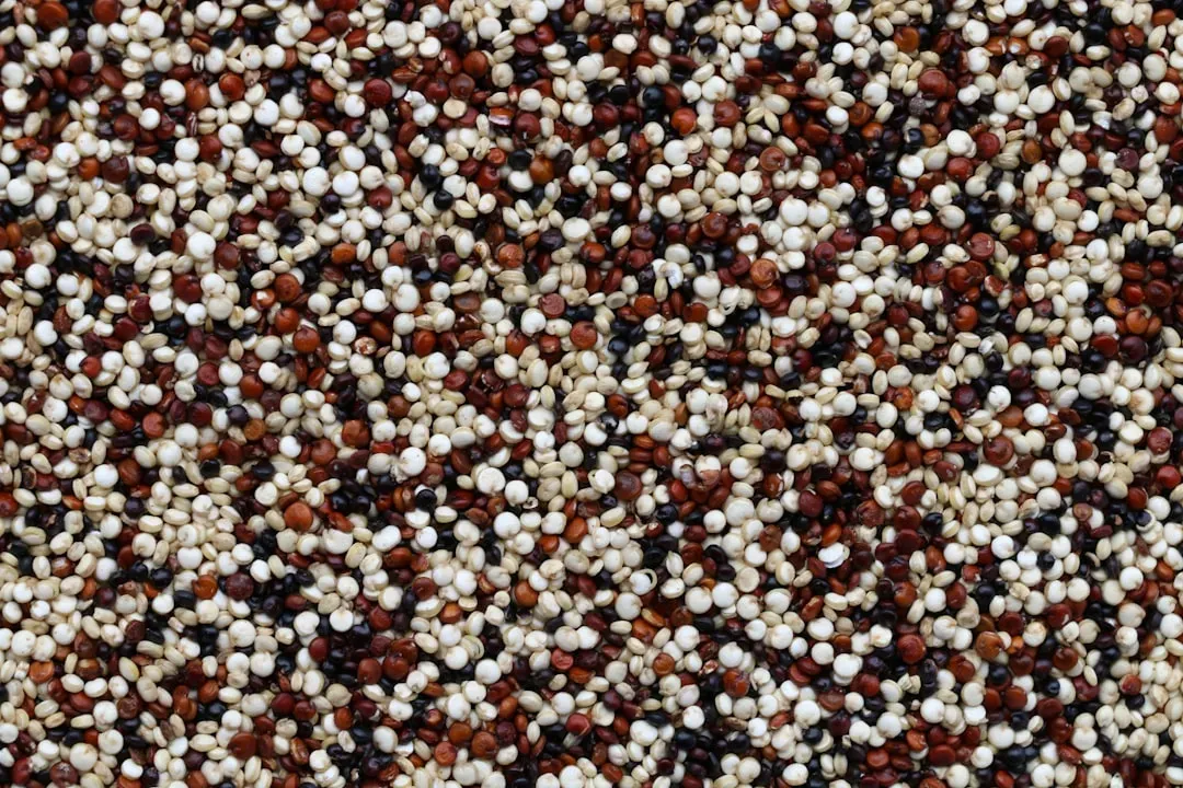 8. Quinoa: The Ancient Grain That Actually Has All Nine Amino Acids (Image Credits: Unsplash)