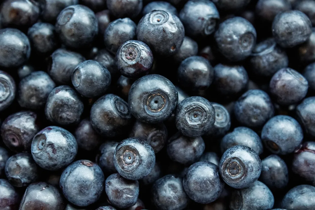1. Blueberries: Your Brain's Favorite Snack (Image Credits: Pixabay)