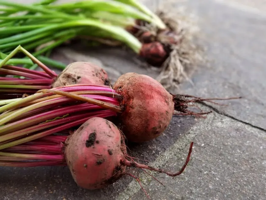 Fresh beets with greens