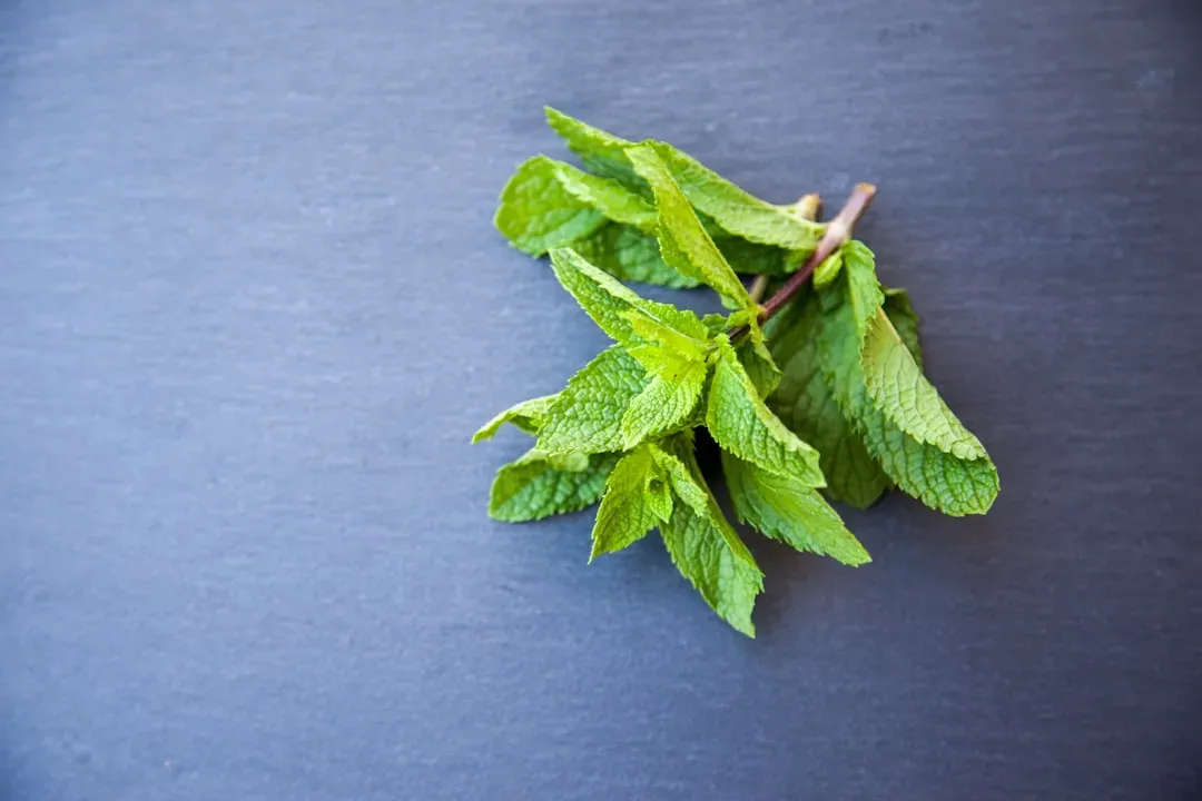3. Mint: The Herb That Tricks Your Brain Into Feeling Cold (Image Credits: Unsplash)