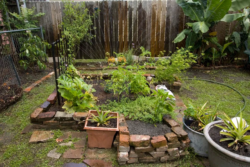 The Environmental Win Right in Your Backyard (Derek Bridges, Flickr, <a href="https://creativecommons.org/licenses/by/2.0/" target="_blank" rel="noopener">CC BY 2.0</a>)