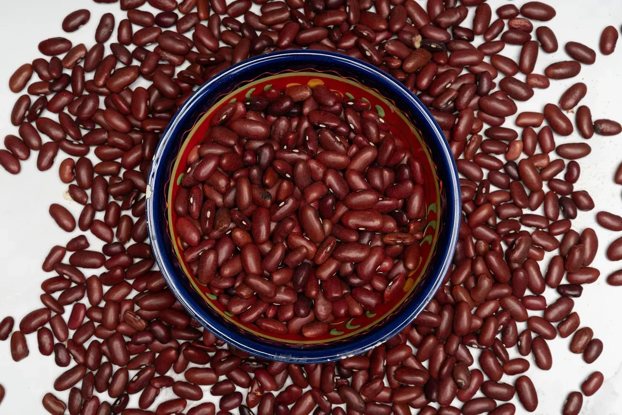 10. Beans: The Affordable, Flexible Foundation of a Protein-Rich Plate (Image Credits: Pixabay)