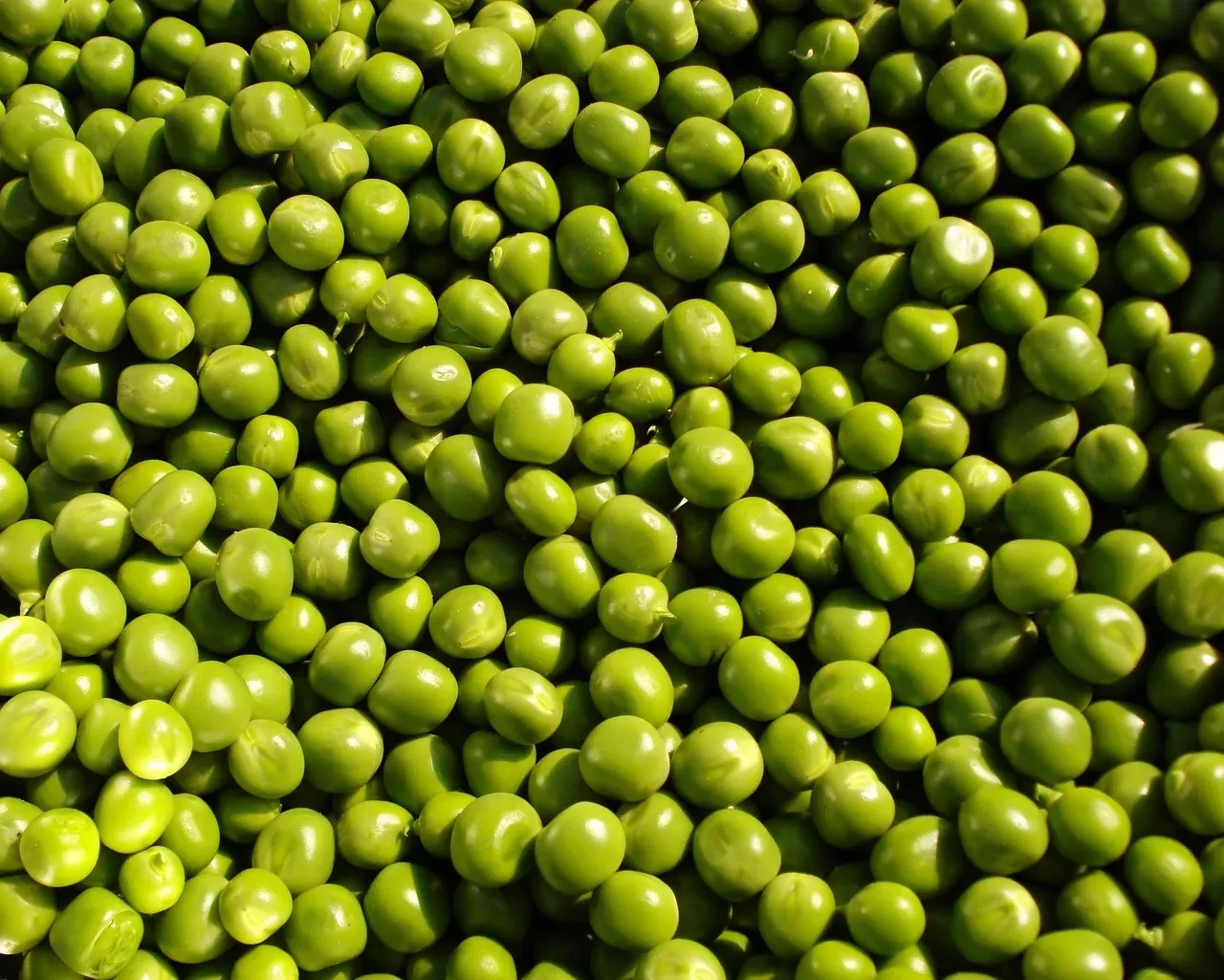Fresh green peas in pods