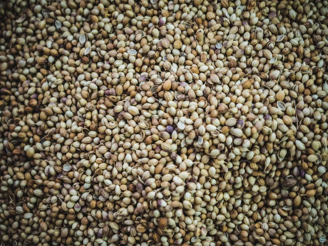 Hemp Seeds: The Complete Protein That Surprises Everyone (Image Credits: Unsplash)