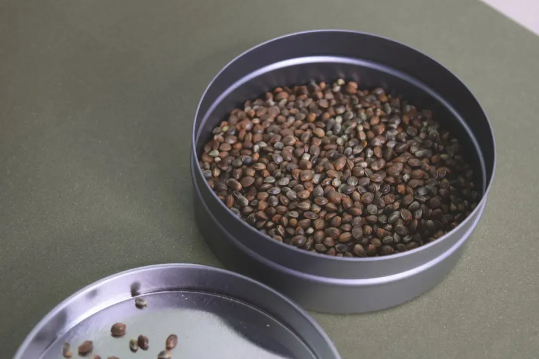 7. Hemp Seeds: The Tiny Nutritional Giant (Image Credits: Unsplash)