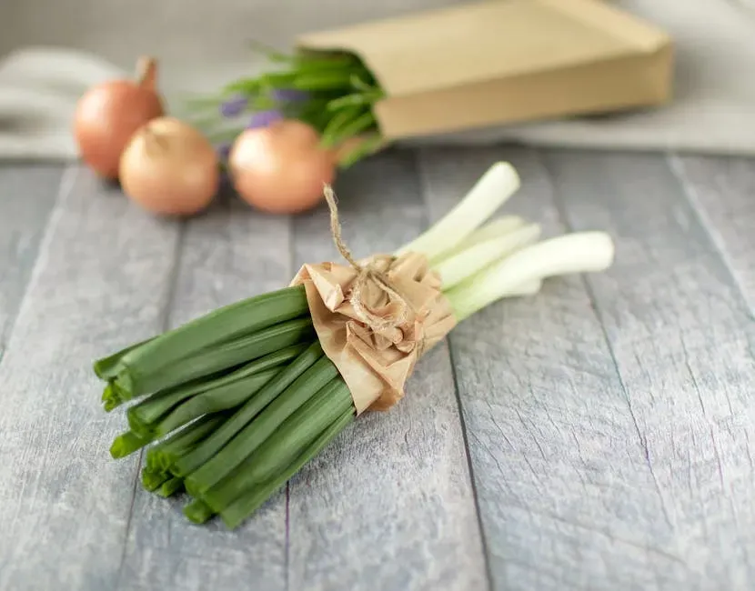 Fresh leeks bunch
