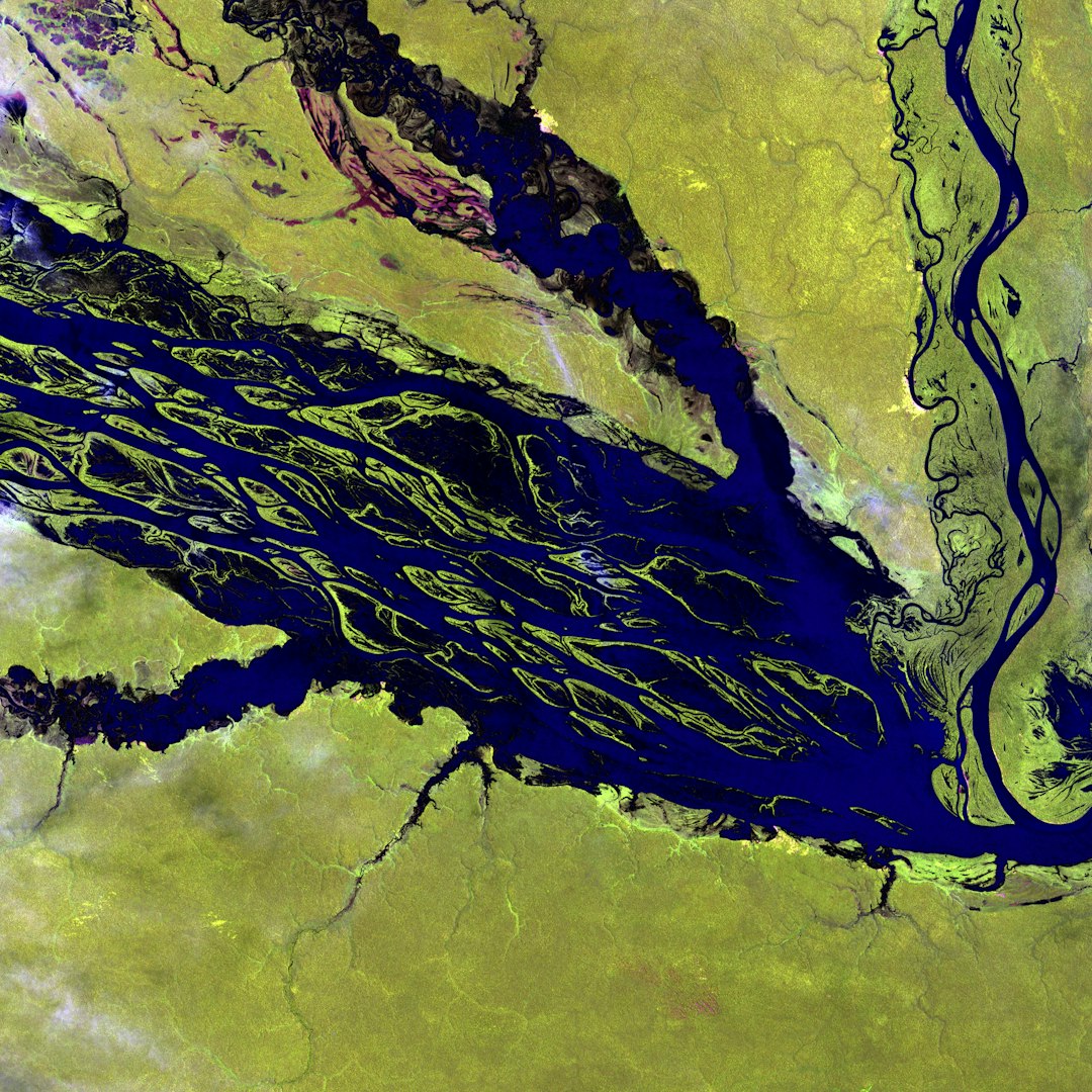 Flying Rivers Carry Amazon Weather Across Continents (image credits: unsplash)