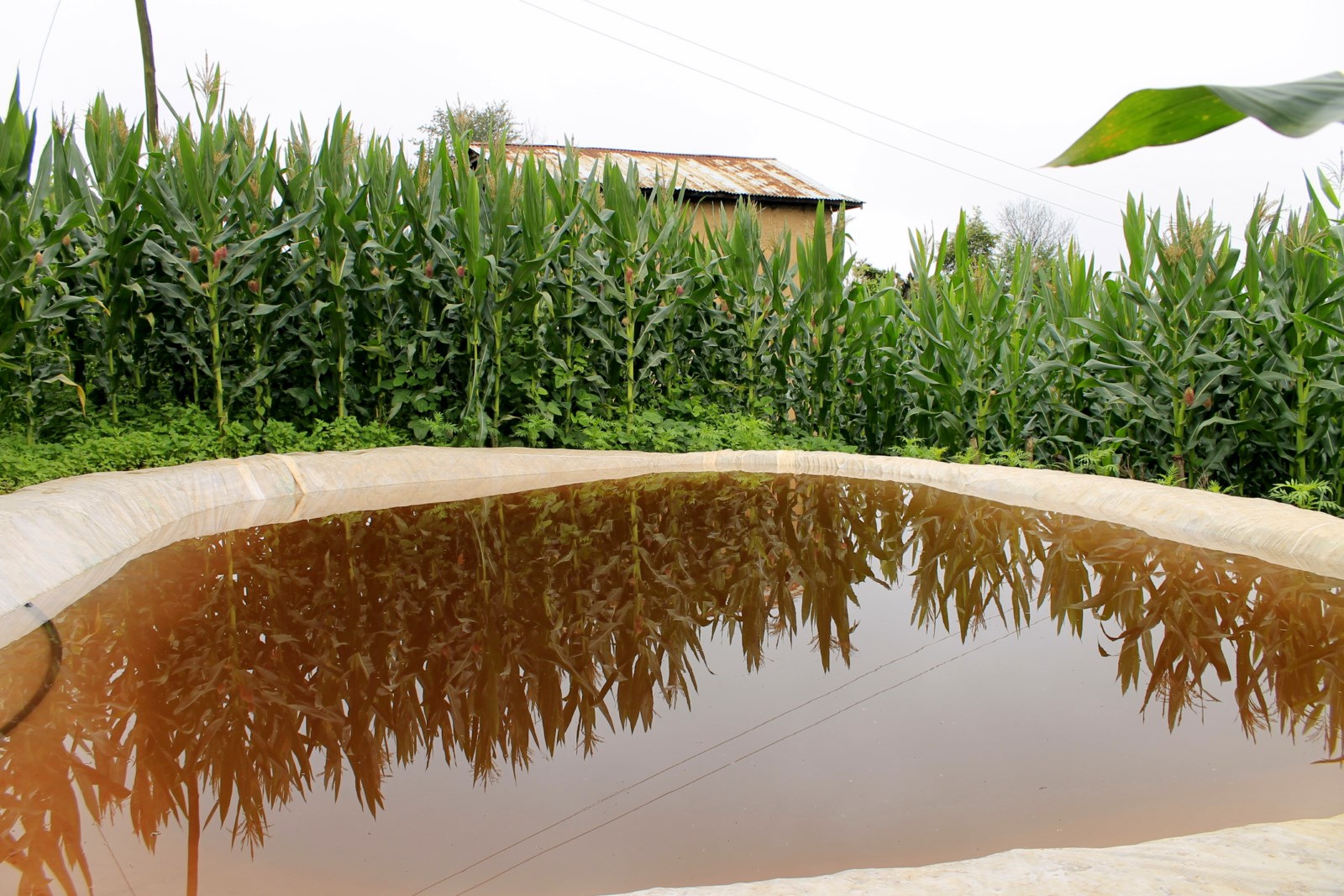 Future Model for Urban Water Management (image credits: wikimedia)