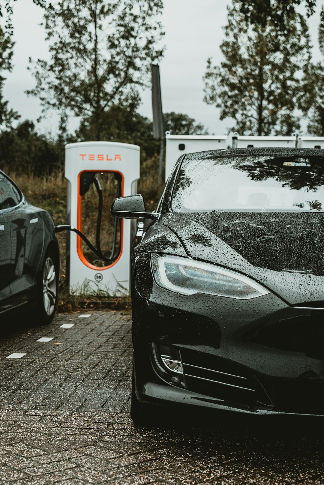 Impact of Weather on Performance (image credits: unsplash)