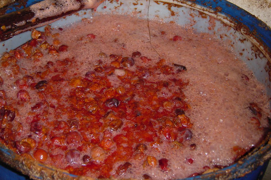 Separate Raw and Cooked Foods (image credits: flickr)