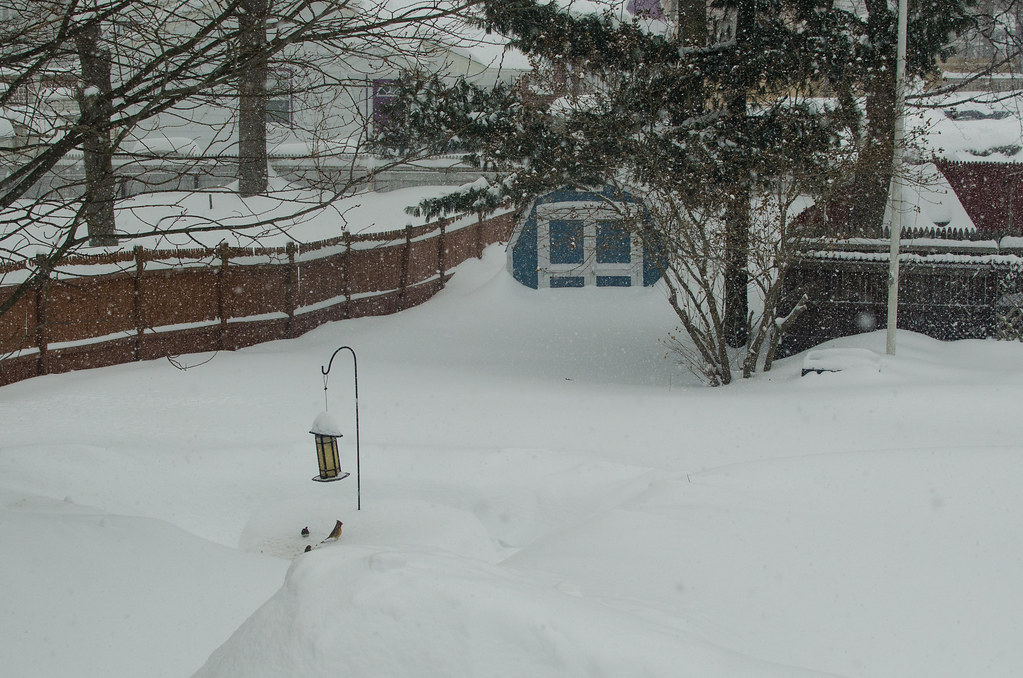 Massachusetts – Bay State's Snowy Surprise (image credits: flickr)