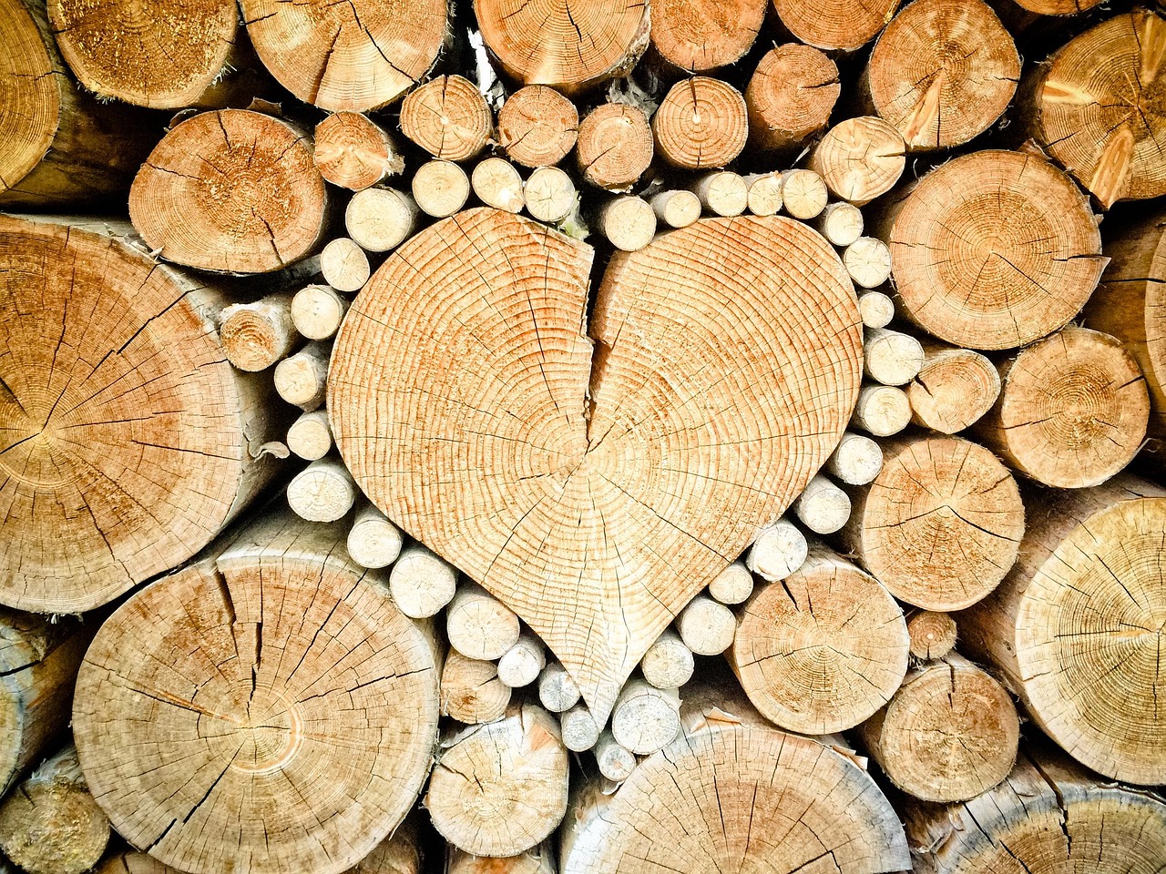 Deforestation Breaks the Amazon's Cloud Machine (image credits: pixabay)