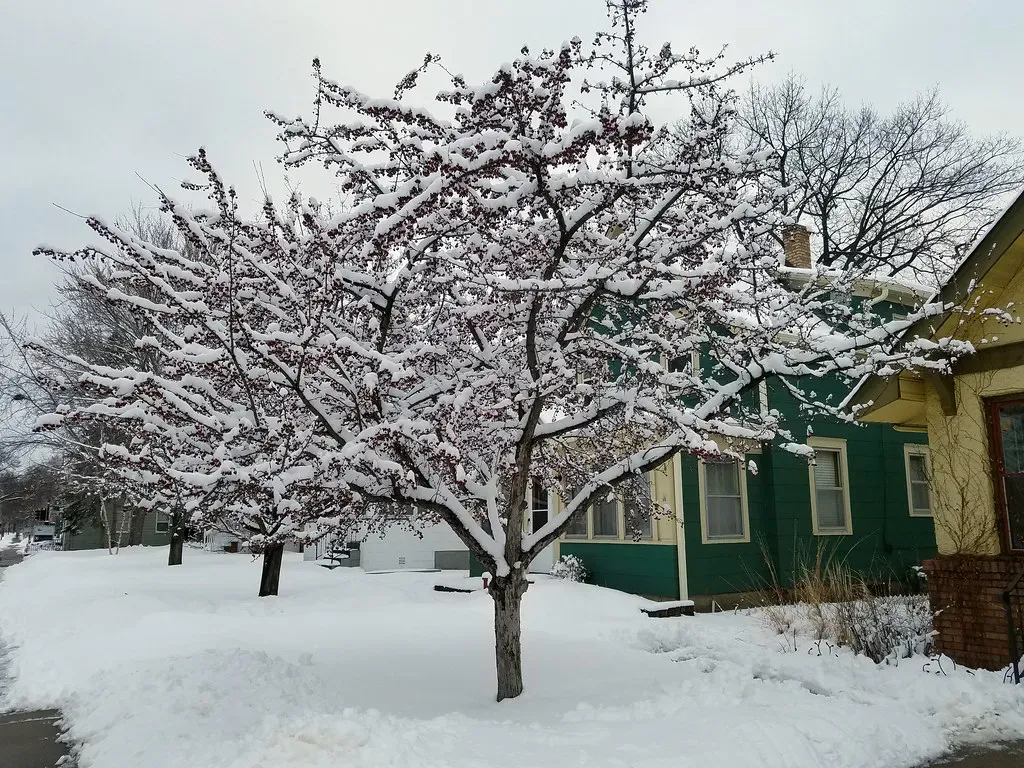 Upper Midwest: cold winters, fewer disasters (Joe Passe, Flickr, CC BY-SA 2.0)