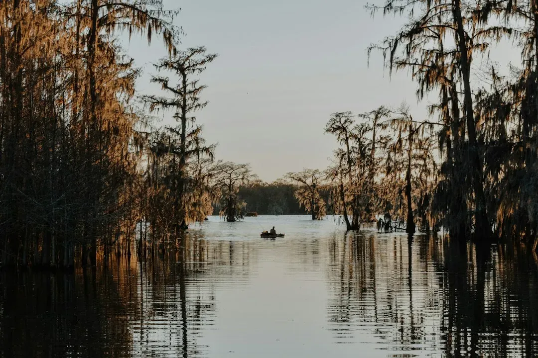 6. Louisiana (Image Credits: Unsplash)