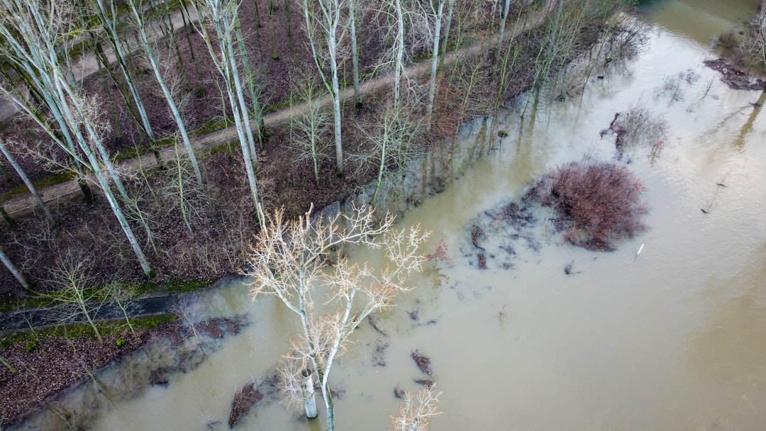 Soil Saturation and Swollen Waterways (image credits: unsplash)