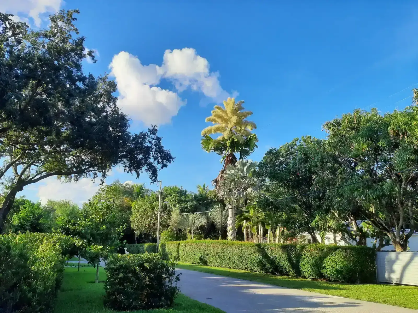 9. Miami-Dade County, Florida (By StuMatGrant, CC BY-SA 4.0)