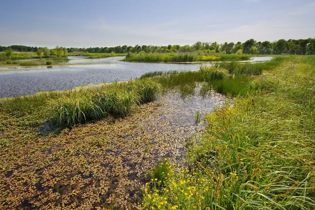 1. Portland, Oregon: The Springwater Wetland Enhancement Project (usdanrcstexas, Flickr, CC BY 2.0)