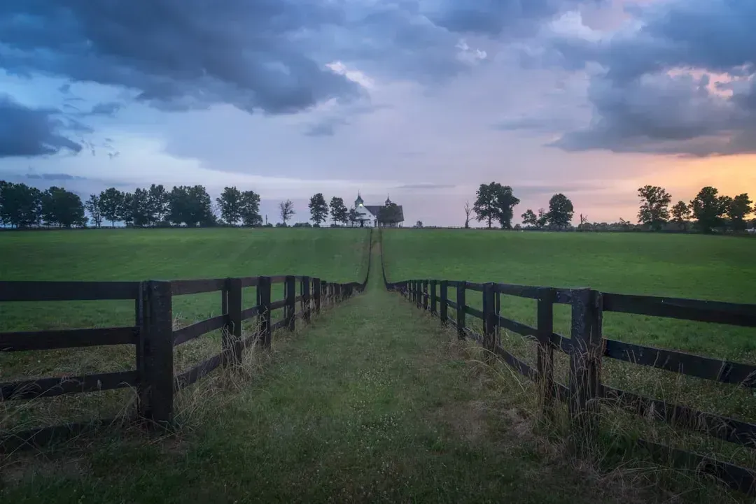 9. Kentucky (Image Credits: Unsplash)