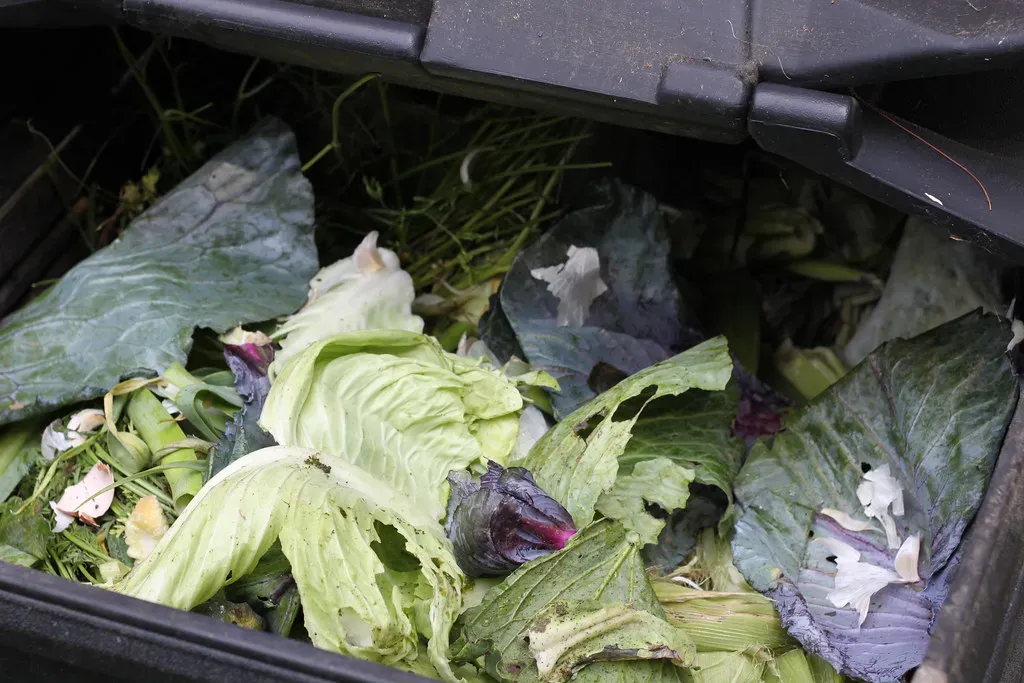 5. Composting Food Scraps Instead of Sending Them to Landfill (Gudlyf, Flickr, CC BY 2.0)