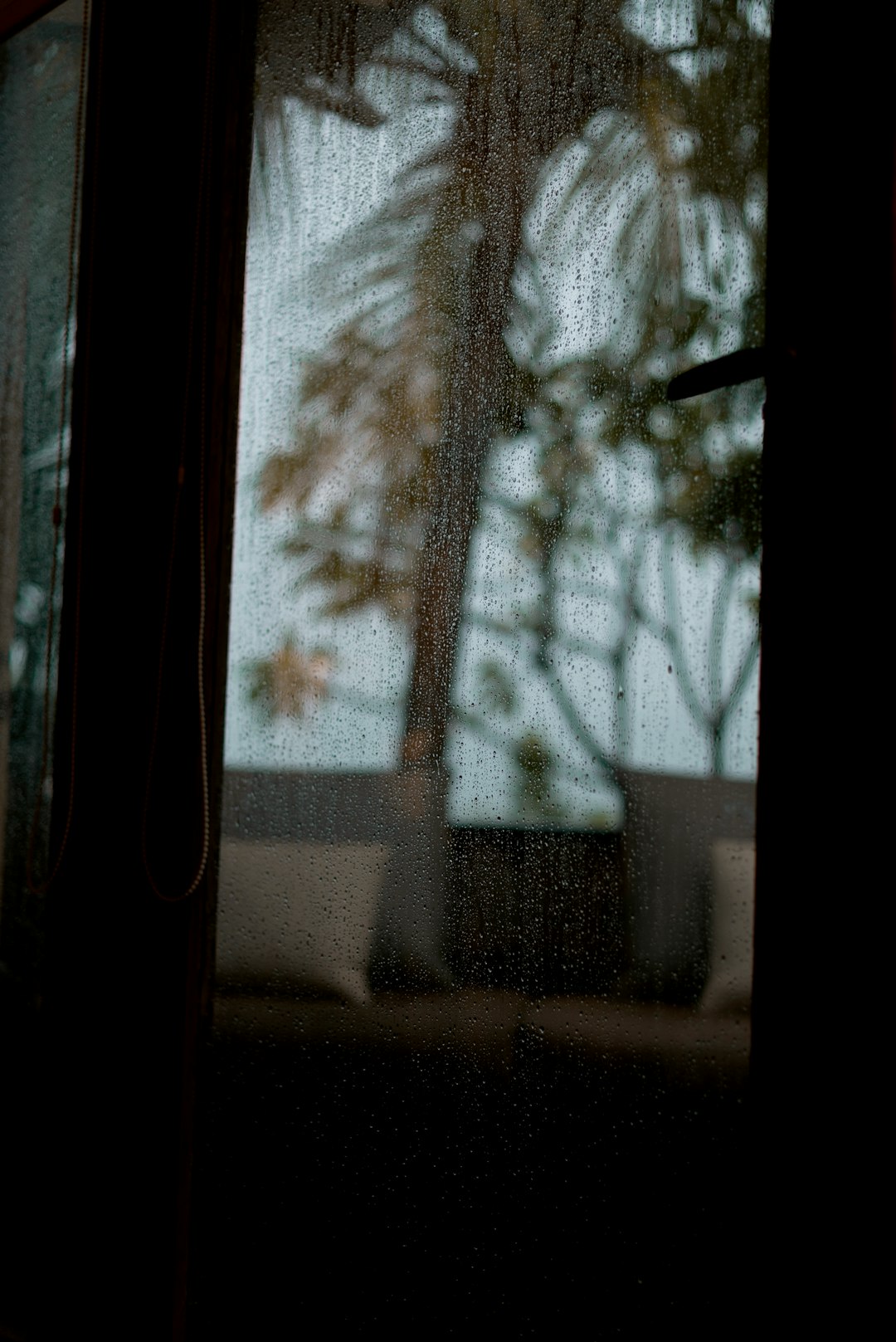 Door-to-Door Checks and Minor Injuries (image credits: unsplash)