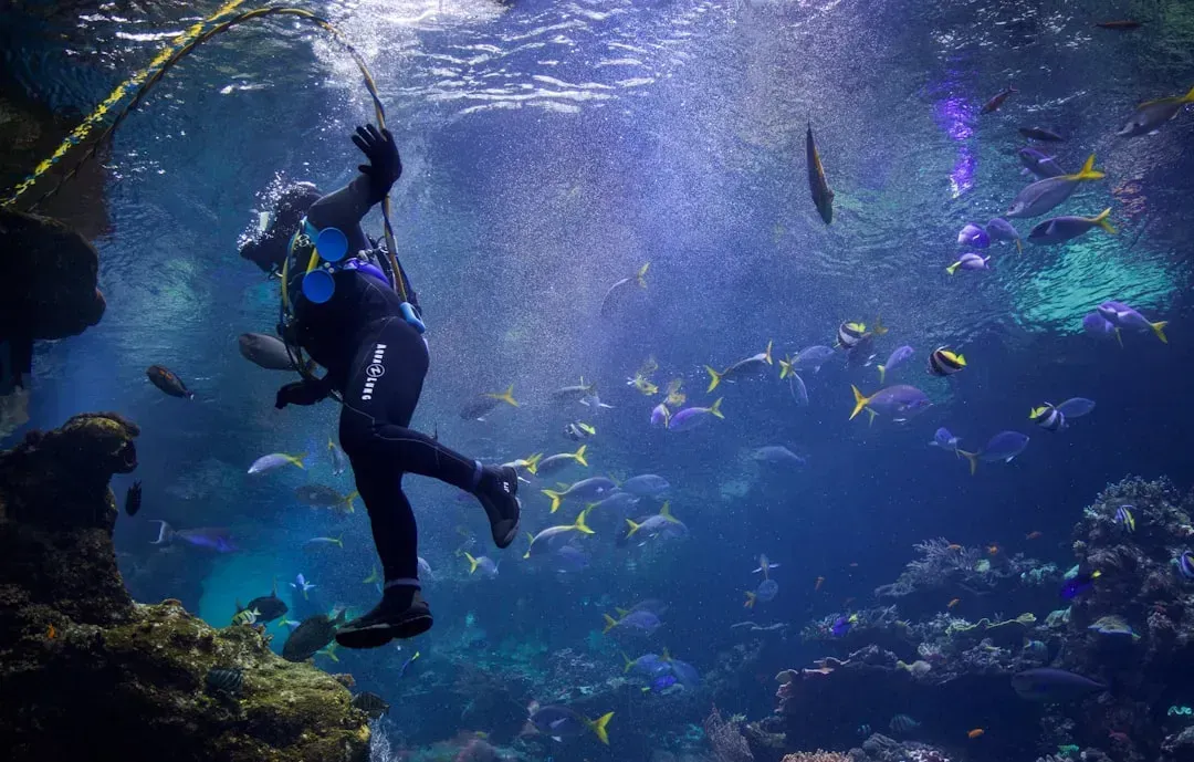 Wendy Schmidt: Marine Science Philanthropy as a Wealth Strategy (Image Credits: Unsplash)
