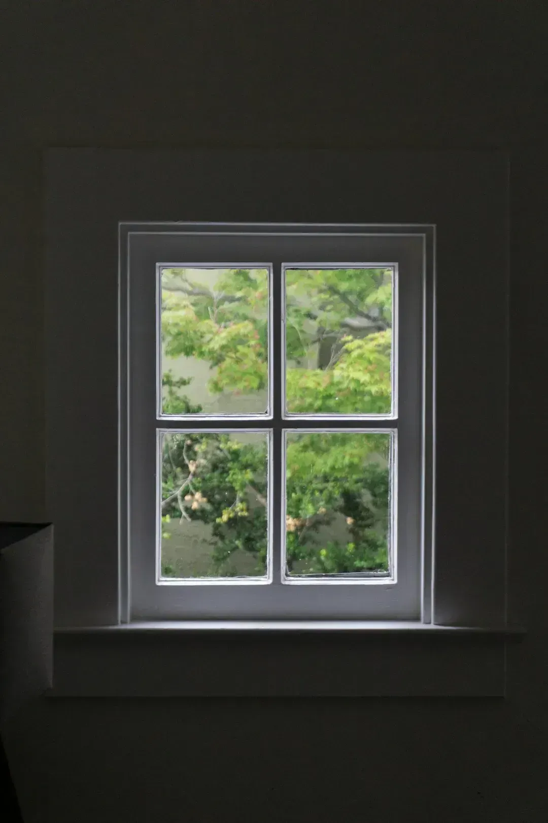9. Millennials and Energy-Efficient Window Upgrades (Image Credits: Unsplash)